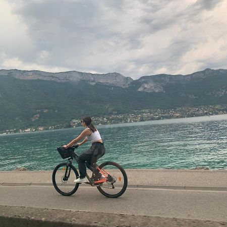 Petit Cocon Entre Lac, Golf Et Montagne, Proche D'Annecy Giez Exterior photo